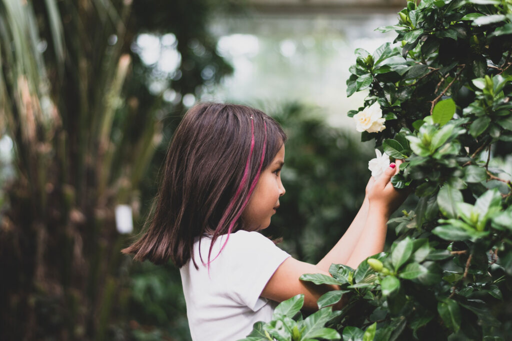 มูลนิธิส่งเสริมวัฒนธรรมและสิ่งแวดล้อมเอเชียตะวันออกเฉียงใต้